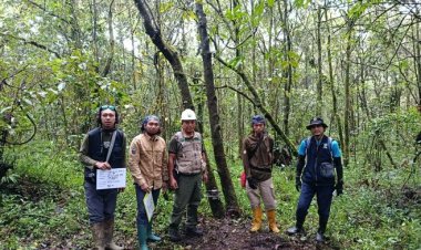Perhutani Lawu Ds Dukung Pelaksanaan JWLS di Gunung Lawu